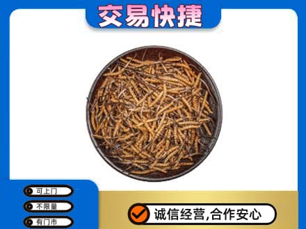 曲靖市师宗回收散虫草